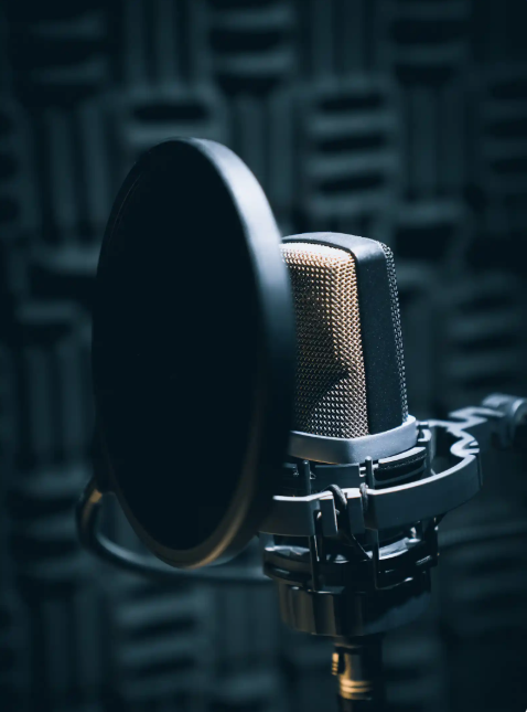 Raven Microphone Raven Microphone